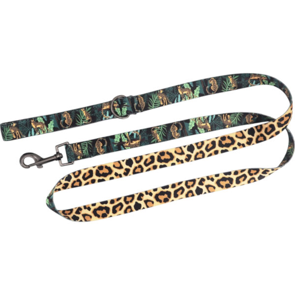 Οδηγός "Safari"